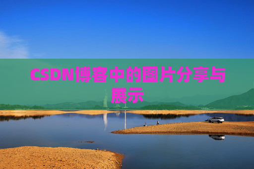CSDN博客中的图片分享与展示